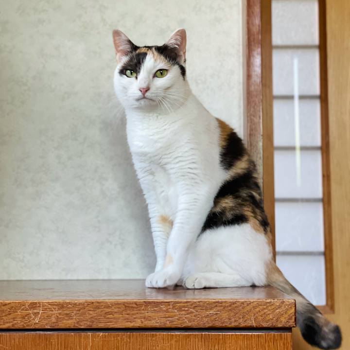 5522ca6f e3ee 44ef a56f 9cb476095a4f 1629852581620