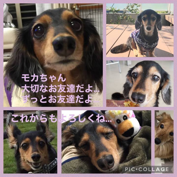 5522cf81 9d6f 460f 8fcf f0238629459d 1614864641693