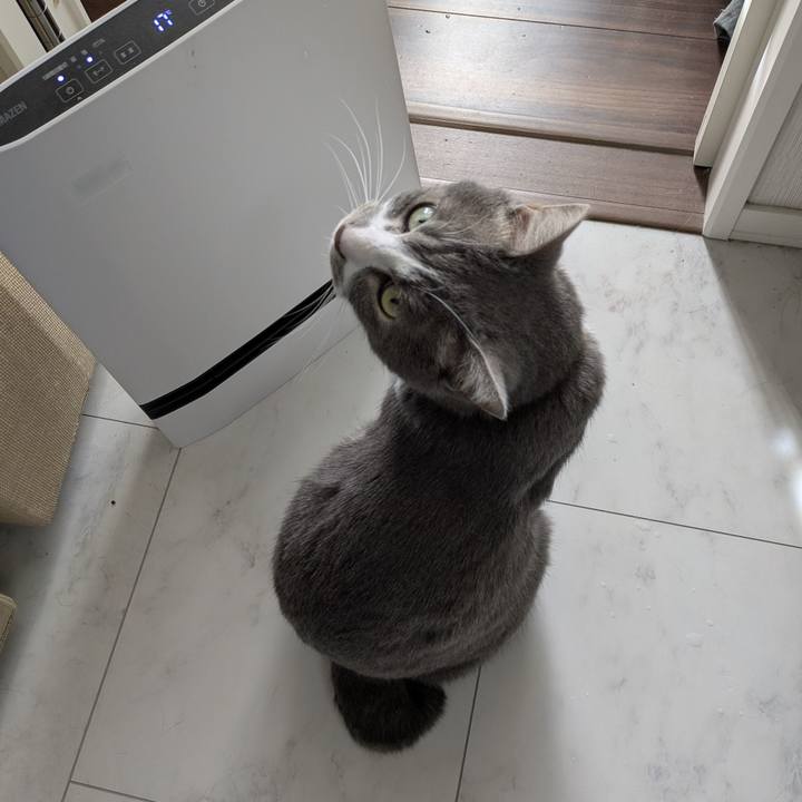 5522ef15 3f1a 4303 bc4c 6312f30708d5 1769825998323