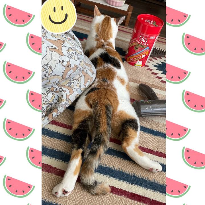 5523041c 18ec 47d9 b646 4bc61773a099 1660173127260