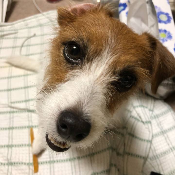 55233f7e 739f 4bc2 9ff6 5d369a986bac 1539375501606