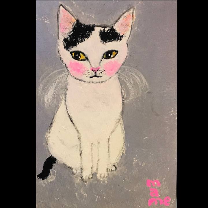 55238130 c18e 4988 944b f8209eeea1b2 1583412334492