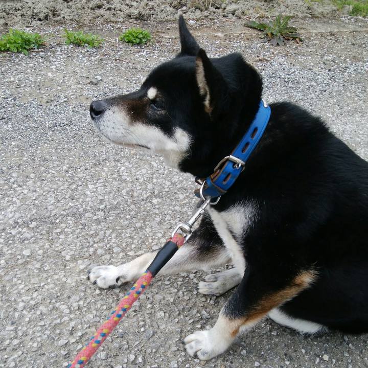 5523901d 5394 48af 98ee 333c985b099a 1523412518887