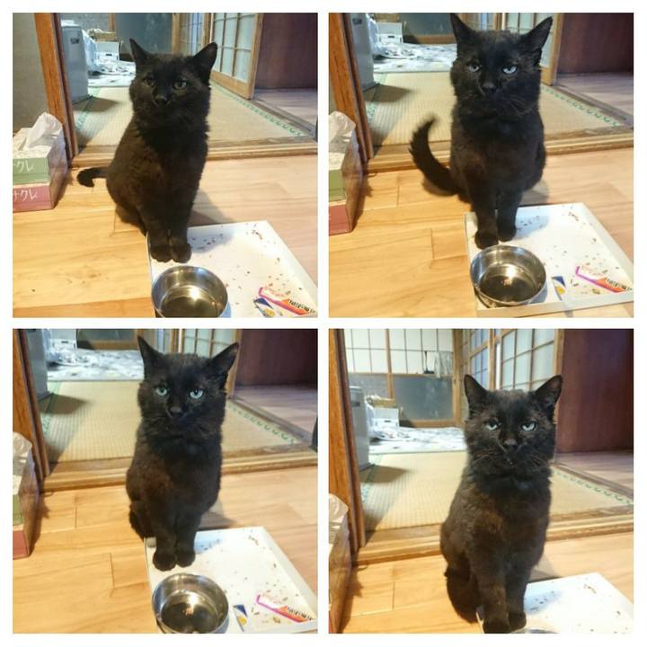 5523b258 972f 4512 8117 a060515e002f 1620986216660