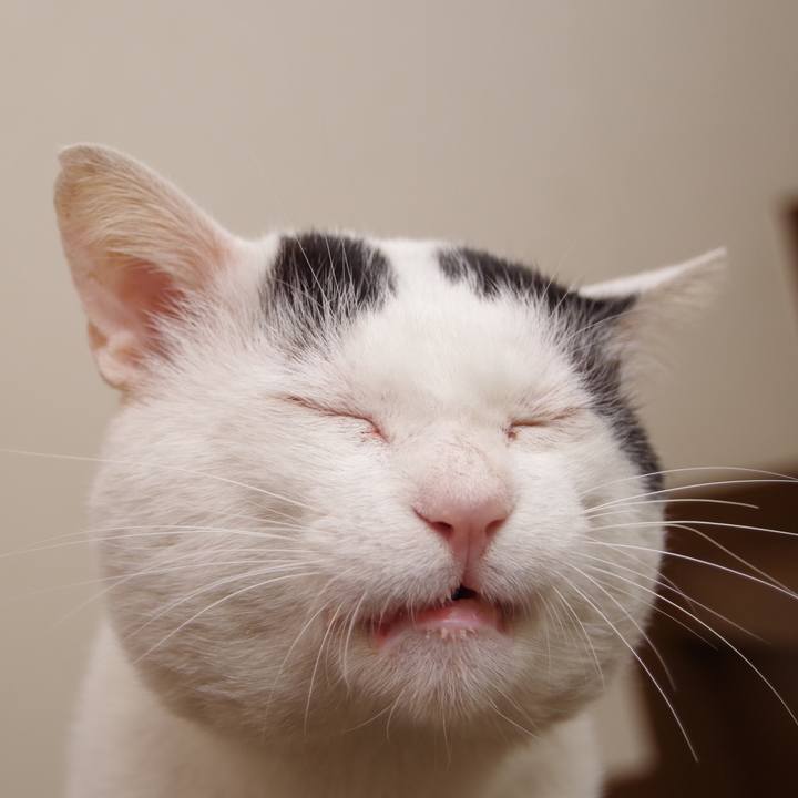5523c45b b63d 4df5 bb82 738d747489fc 1574913483677