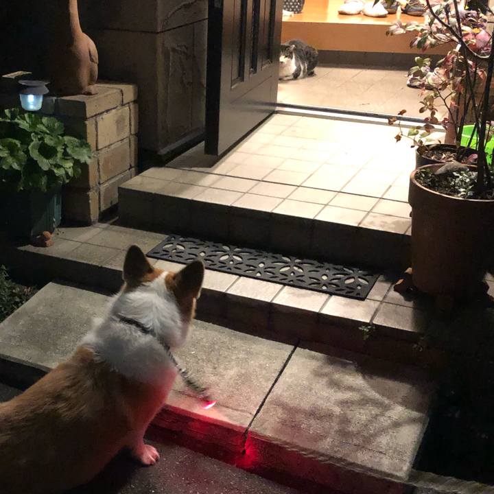 5523efef 8879 4312 b512 50eae082a668 1575366213807