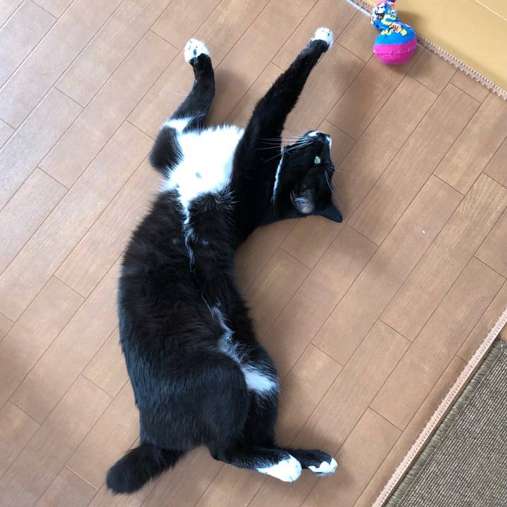 5524160f a626 42b5 9b1f 6015668e8958 1629523576604