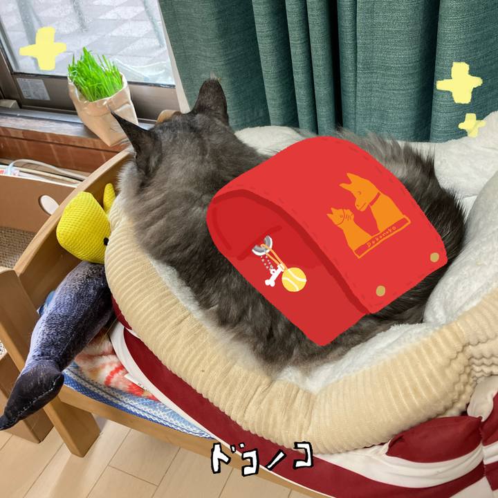 552432ea 8e2c 4119 80e3 4b19dbbedd6a 1744331339747