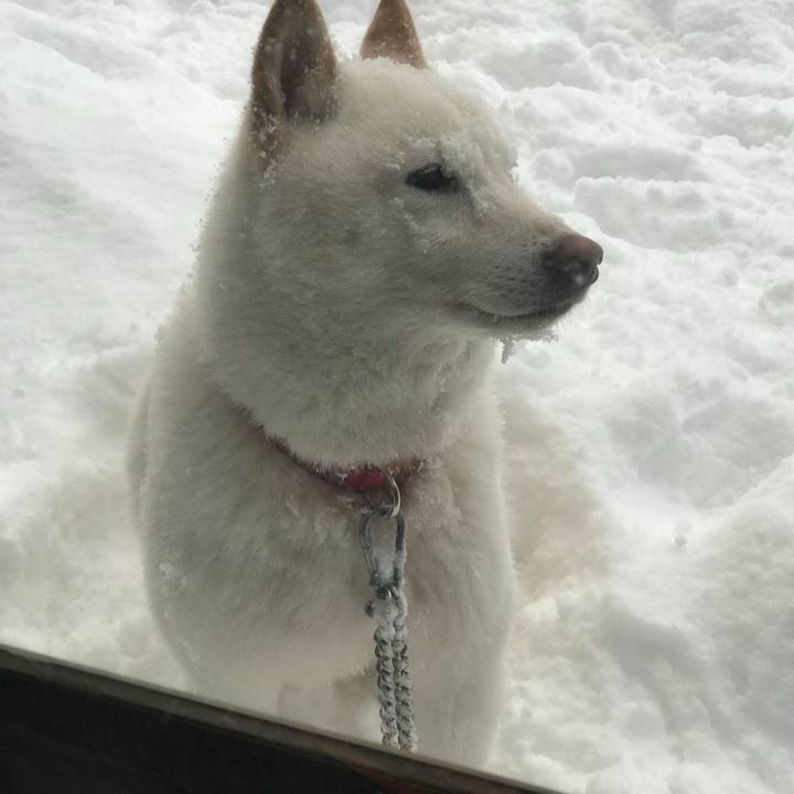 552463fe 699e 4b87 93e2 9ed1b1b8e3db 1532814376056