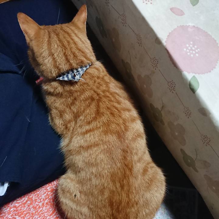 552466f2 1cce 4232 9e3b e4517b2c7b52 1572514555911