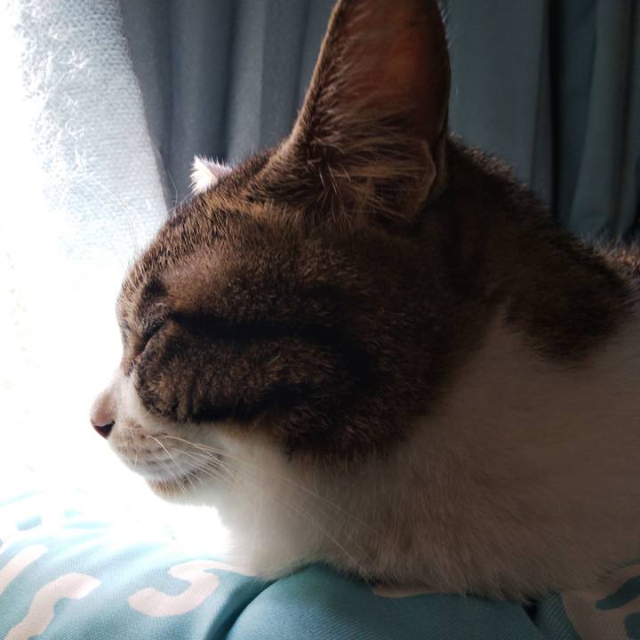 5524d722 cb78 4c21 b39a e37a8a2fccdd 1665892331659