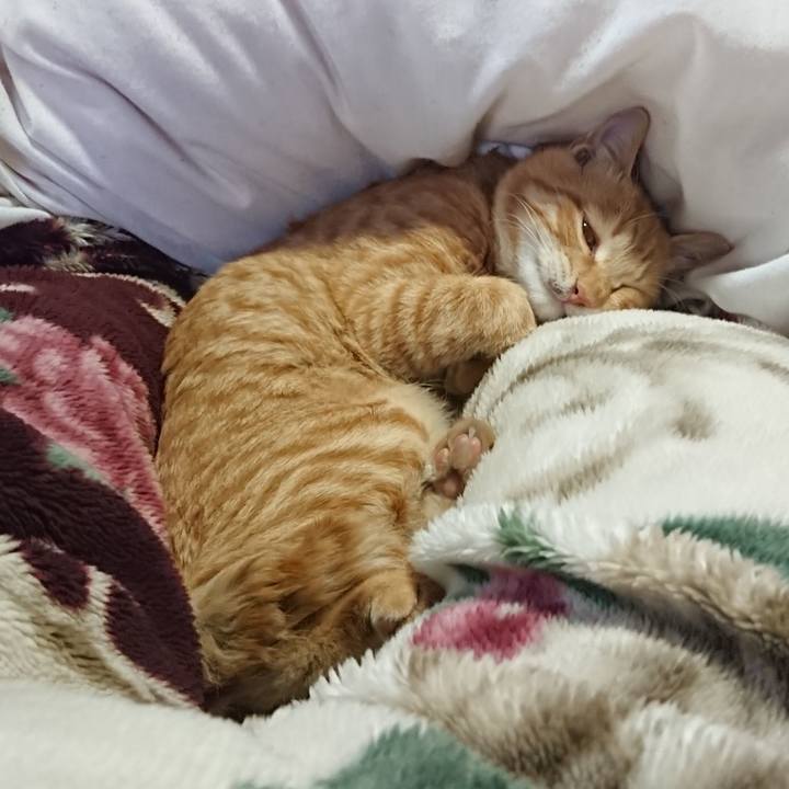 5524d7b8 2c79 429e bd16 7d89d6d45f83 1636337083283