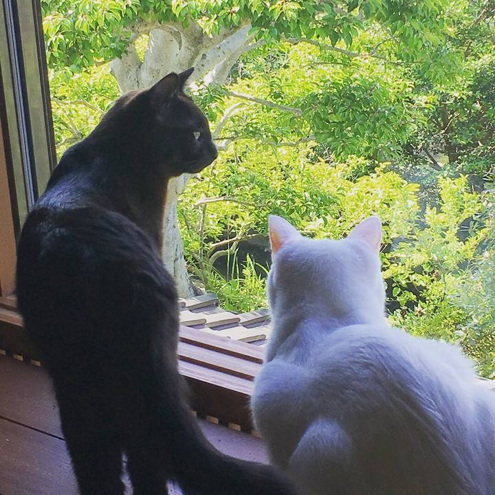 5524e4bf ba8d 422b af3a 9029b7e6e904 1526861440469