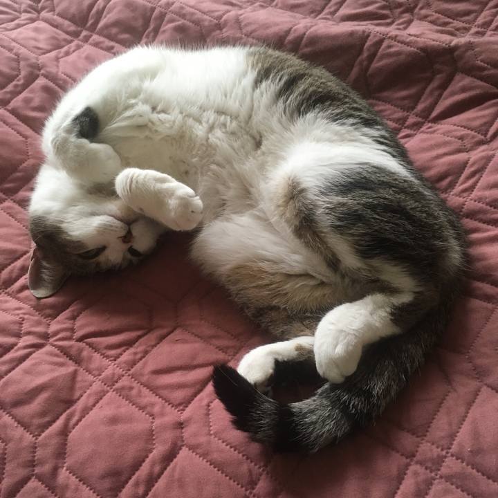 5525247d fbce 41da 930f 0c29cdb4eb37 1653182889084