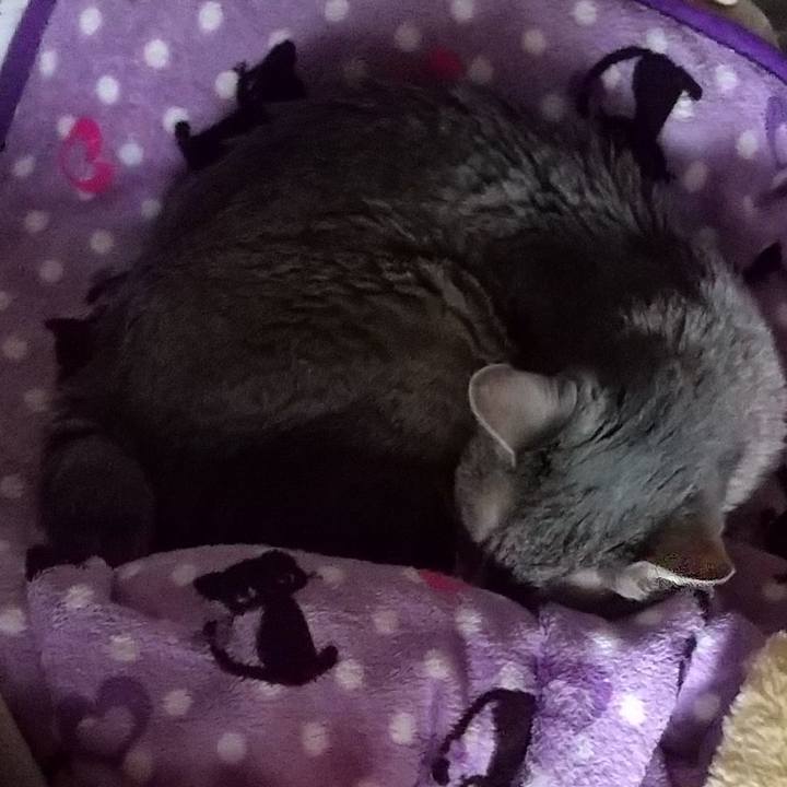 55257148 79c9 4a29 b0e1 99cde346f87f 1699227401713