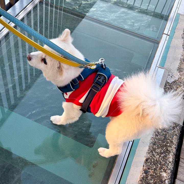 55257353 6e1d 4771 8432 99526fbf05b7 1767875931449