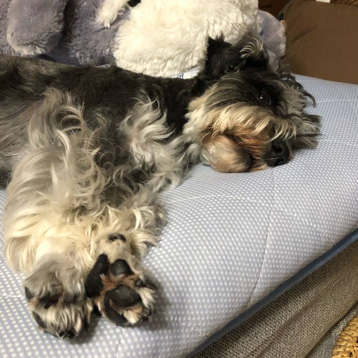 5525866f 2098 481b 8dae 87a7c735f656 1629550863781