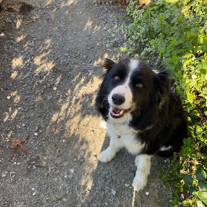 5525d758 1408 4f11 9072 6b1056a0887d 1592727674871