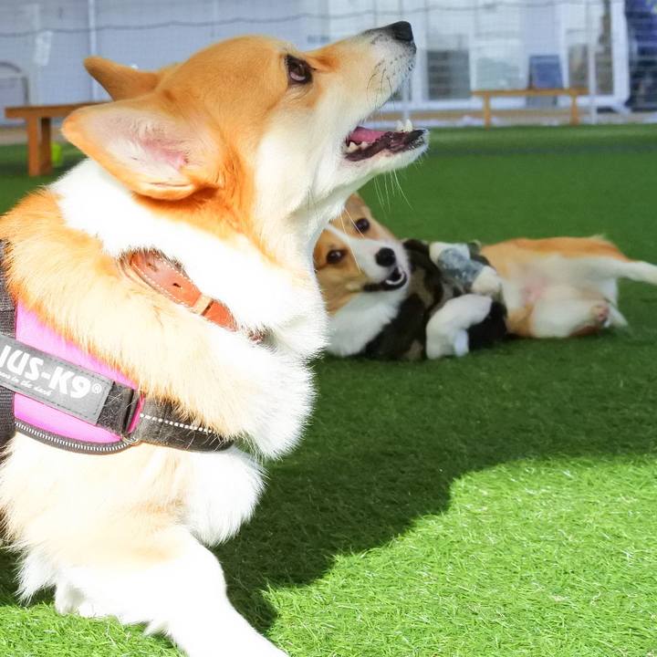 552616cc fa4b 4716 b584 e7a740ea07d3 1610356624093