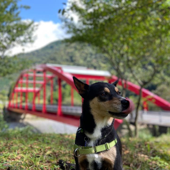 552662bc ba4e 4840 932e 7669217837b0 1632129348649