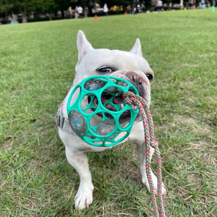 552664e8 8194 4f37 a921 7497e2701721 1759708275225