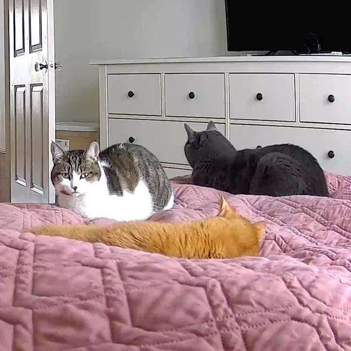 55266525 f225 418c 91d2 27f775d2967d 1769366782314