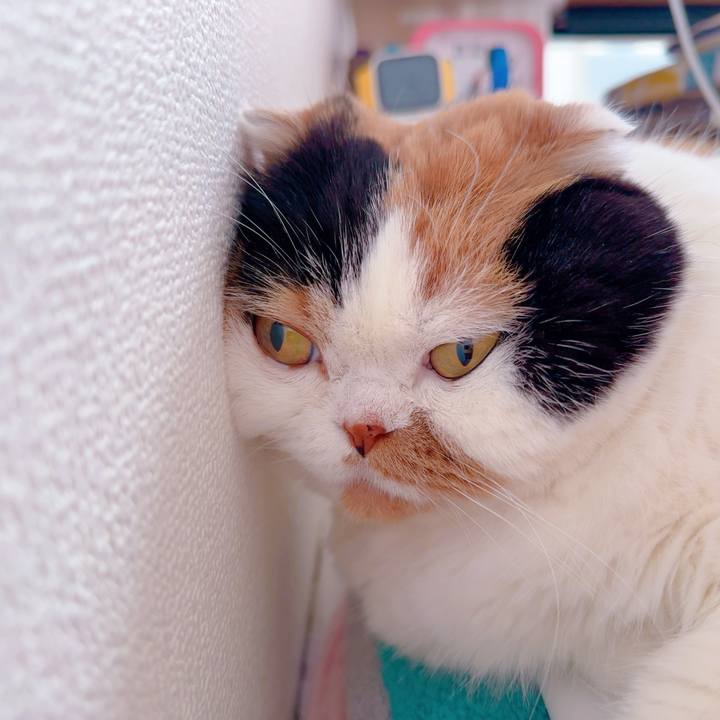 552666f8 7b14 4485 93bd adb972cbe202 1715042956677