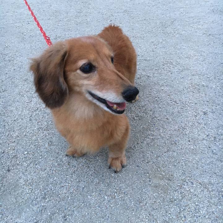 5526ce9a 7d53 4da6 bf65 c49125ba48bd 1627040306151