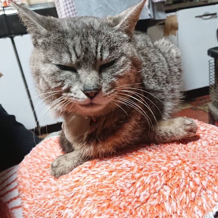 55272532 934d 4f4a a36b 615f61f9e76a 1587810460431