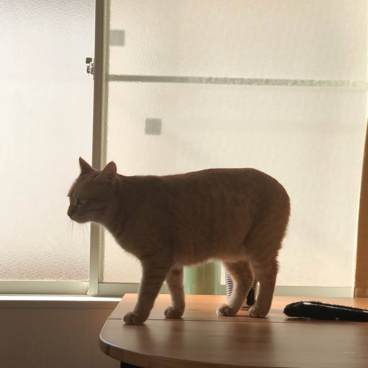 55273ce9 622a 44ad b794 c82757cdf59c 1546832496080