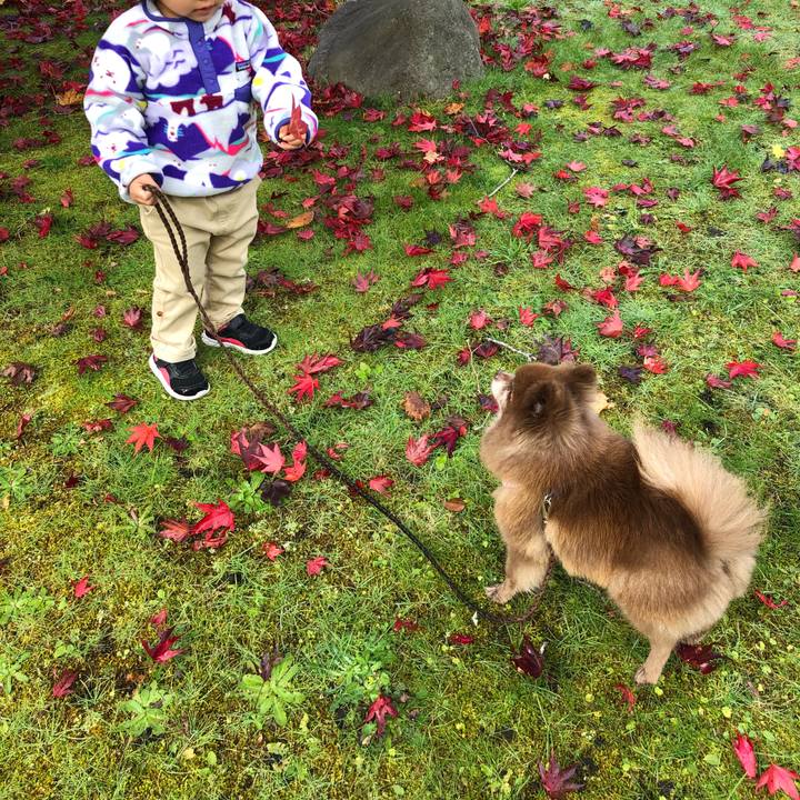 55277071 638c 4f8f 8f3c 8270dd91a7e4 1541309305059