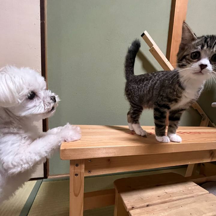 5527a3c3 070e 46e8 81a2 3d1dd6a66179 1689121882579