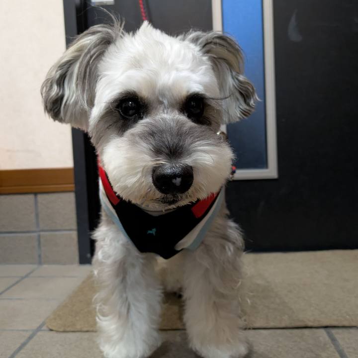 5527afbf afcf 4566 bd61 8f18d899cf46 1759406843311