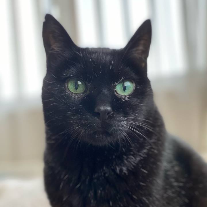 5527cbe2 f19d 4d2d b912 6a5adadf5747 1617278999173