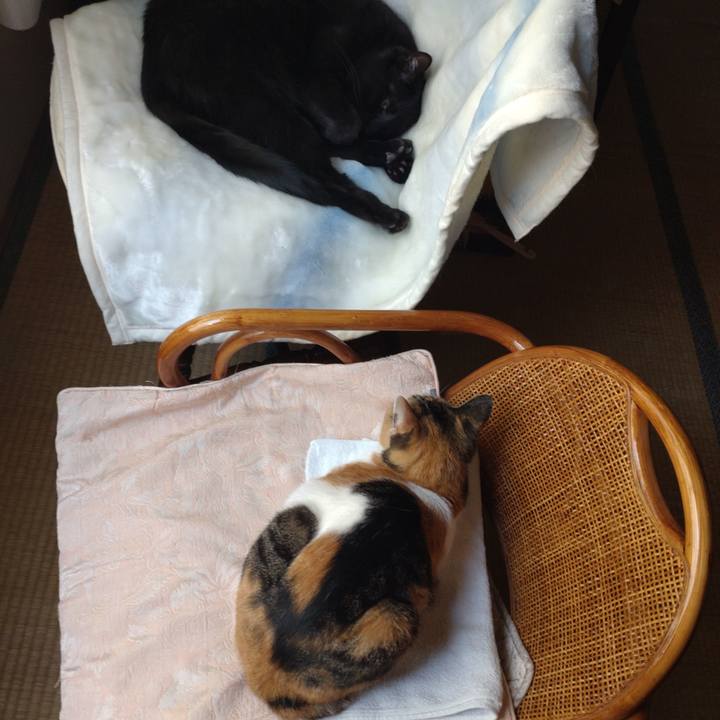 5527da83 ab8b 4bed accc b2c43f92cc37 1682999779417