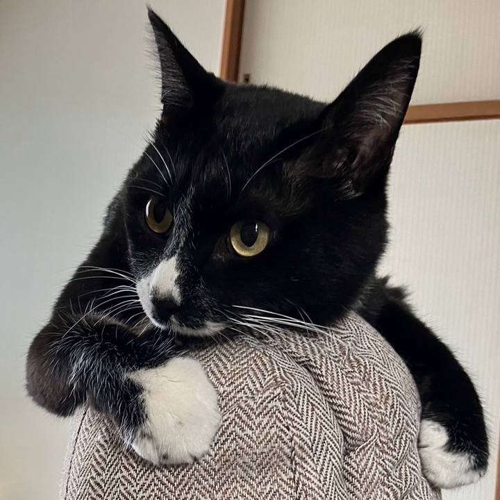 5527fc89 d6b3 40e7 996d 5acd188bce68 1726916654461