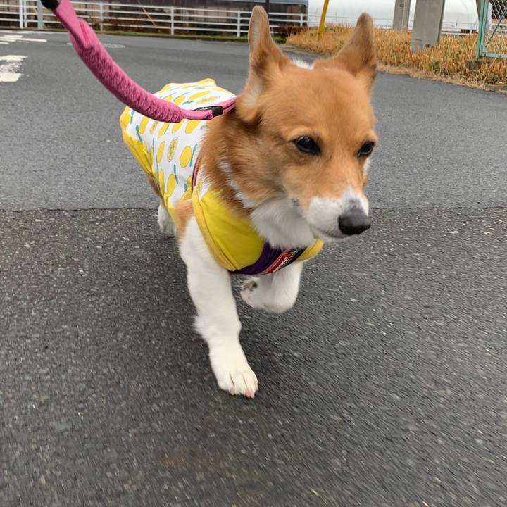 55282099 8421 4f7b b3a7 b5c744a5c995 1708589202590