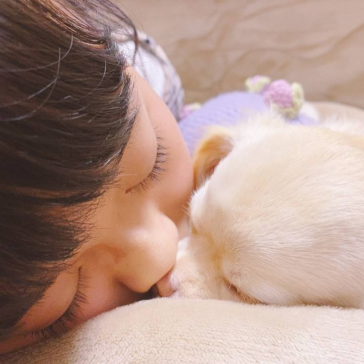 55283364 cd79 448e ba62 4a09d86b9e1b 1616400717343