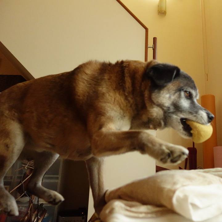 55285265 4b50 4a6b 9950 411744c158c2 1518917434778