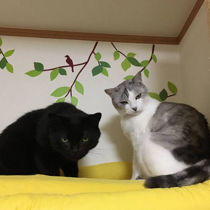 5528855f ed00 4407 829c 22b214bbc870 1552999766421