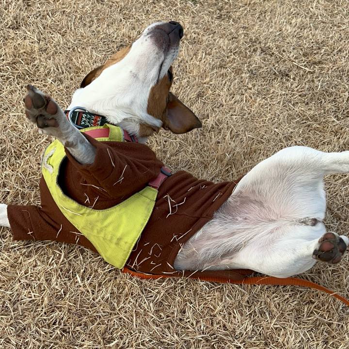 5528cc8c 098d 446b 9004 5255ee6b6620 1738486909156