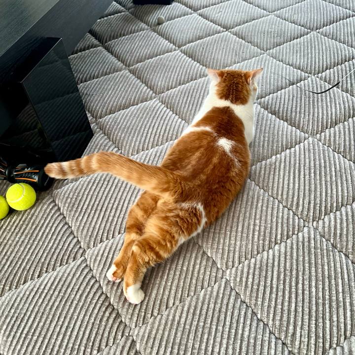 5528e151 236c 4f8c ac67 e3ee0c694c08 1771297345788