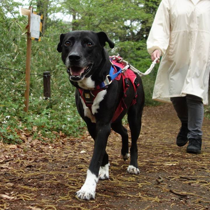 55290938 1702 4ed6 a233 ee6b40fe7786 1649894354327