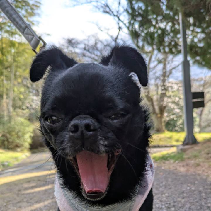 5529493c 5651 4f57 9526 45e27bf7b29f 1774265225949