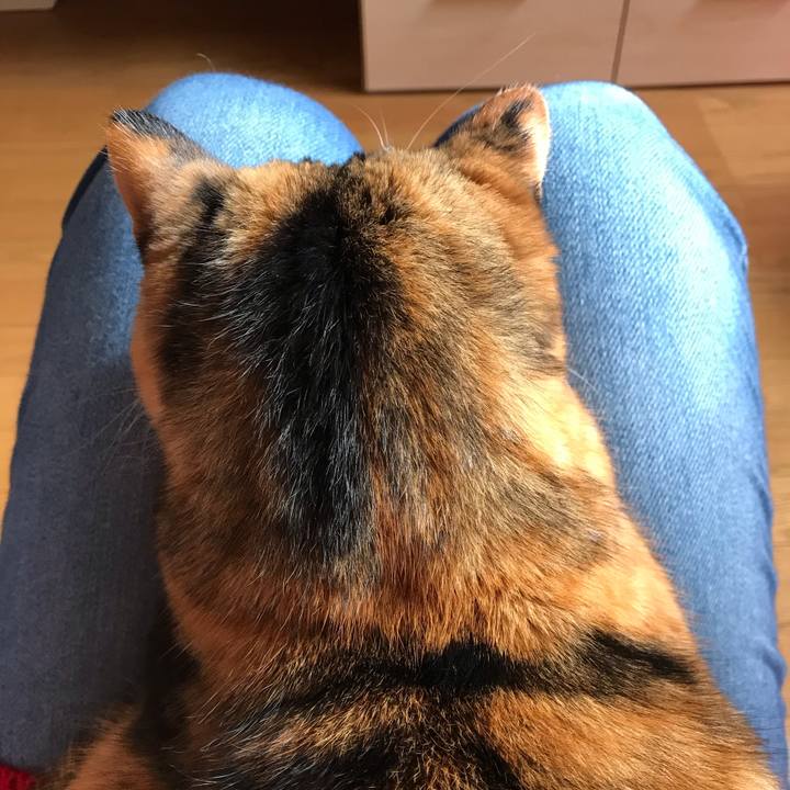 552955d0 8993 473d b074 355e34e0f06c 1547355961564