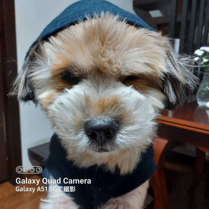 55297e19 9792 4218 8426 73bd33f77d11 1670367975837