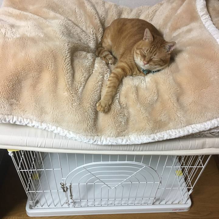 55298197 04e8 4e23 8e0b 6bd43cb7fefe 1545134714636