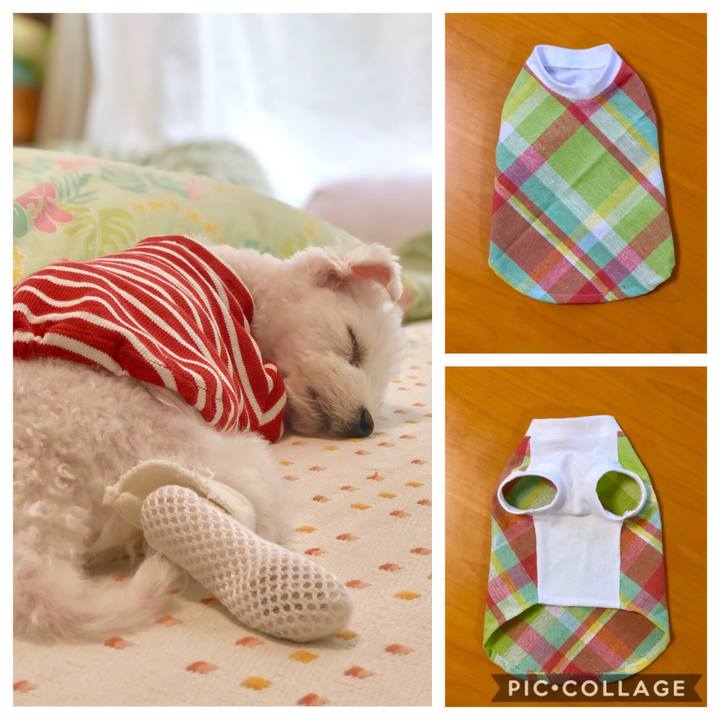 5529c759 6459 4772 83fe 3d3869c73dc0 1562485726887