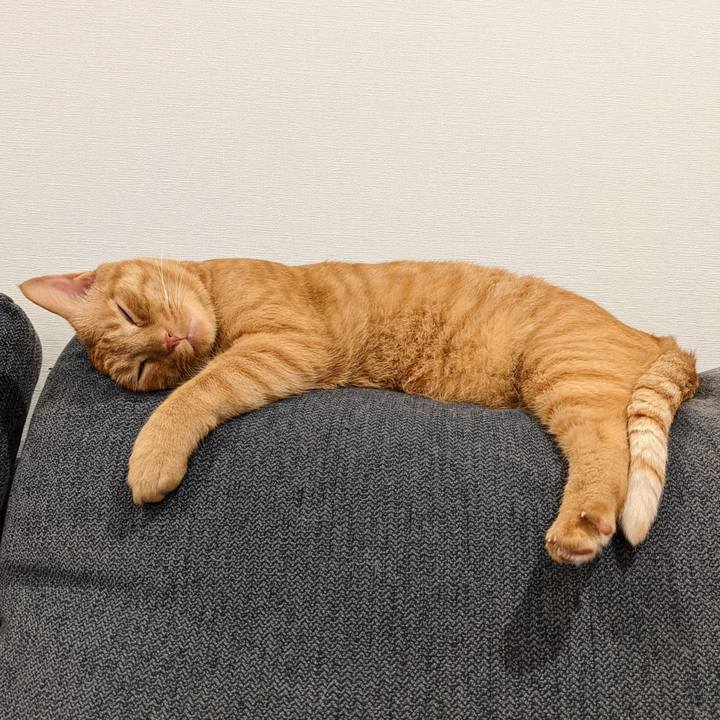 5529dc1e cb75 4726 bb14 f8eb0a1f1f9f 1655037822912