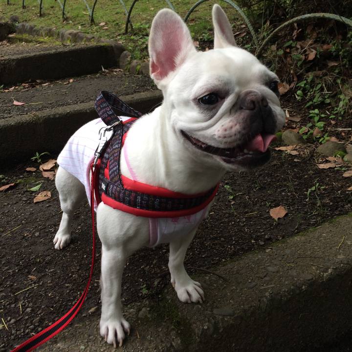 552a1342 b4f4 458a aa2f b283eb1bb48e 1529731236249